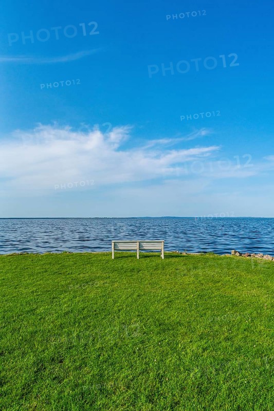 Isolated, white, empty bench in a meadow on the shore of the Szczecin Lagoon in the village of Altwarp, Am Stettiner Haff nature park Park, Mecklenburg-Western Pomerania, Germany