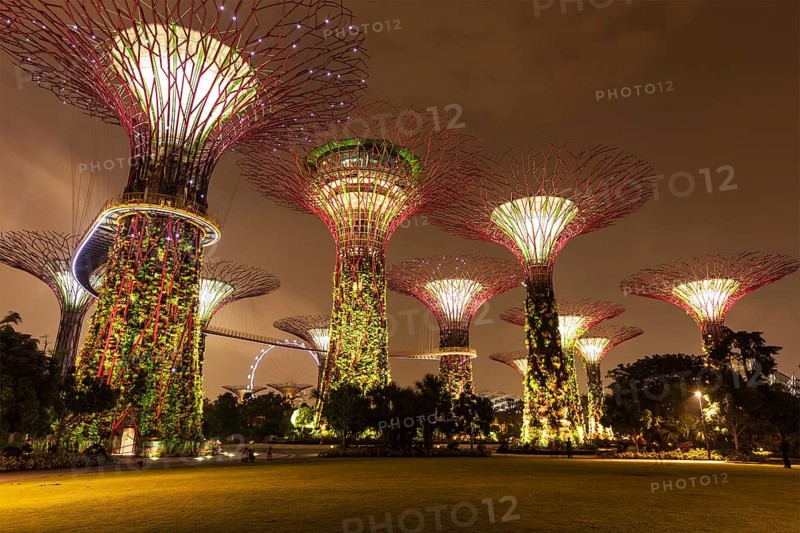 SINGAPORE, DECEMBER 31, 2013: Night view of Supertree Grove at Gardens by the Bay. Futuristic park spans 101 hectares is to become Singapore premier urban outdoor recreation space and national icon