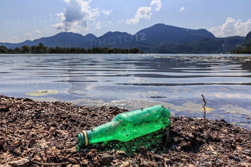 Empty beer bottle lying on the shore of a lake, rubbish, pollution, sunny, Lake Kochel, behind it Jochberg, Bavaria, Germany