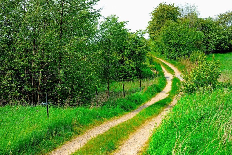 Small curvy gravel road through landscape with bushes on Romele ridge, Skurup municipality, Skåne county, Sweden, Scandinavia