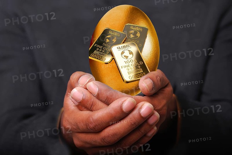 Symbolic image, gold, golden egg, speculation, security, currency reserve, stock exchange, securities, industry, economy critical, payment, insolvency, wrong decisions, unemployment, profit, profit slump, share prices, Germany as a business location, global economy, globalisation, environmental protection