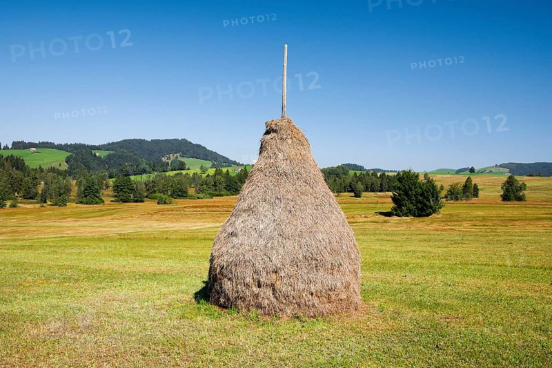 Traditional haystack Triste in the Schwantenau moorland, Canton Schwyz, Switzerland