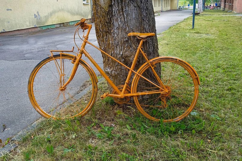 Yellow bicycle leaning on tree trunk, decoration, painted, Albgut, old camp, former military area, biosphere area, Münsingen, Swabian Alb, Baden-Württemberg, Germany