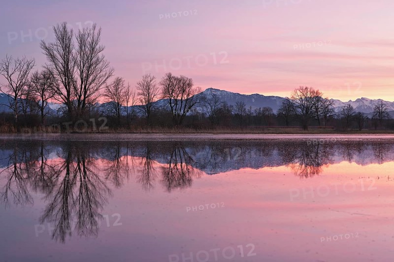 Rigi reflected in the flooded nature reserve in the evening light, Reussspitz, Hünenberg, Canton Zug, Switzerland