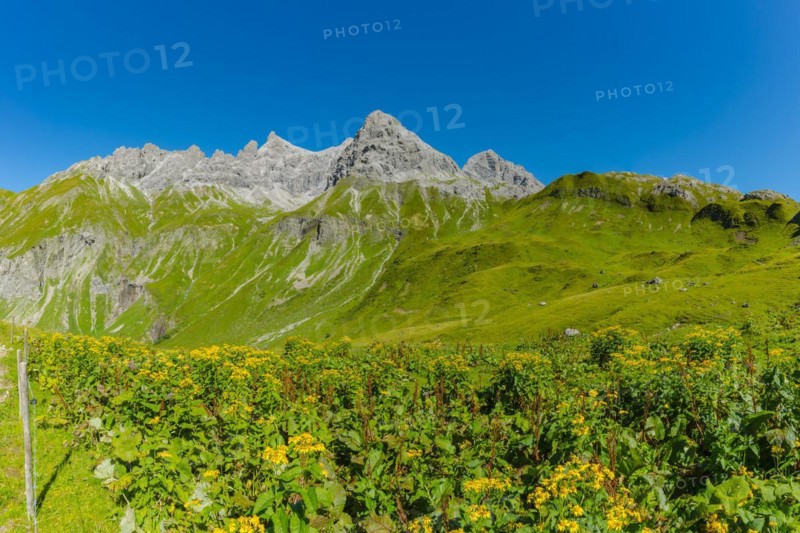 Panorama from the Kemptner Hütte, 1844m, to the Muttlerkopf, 2368m, Allgäu Alps, Allgäu, Bavaria, Germany