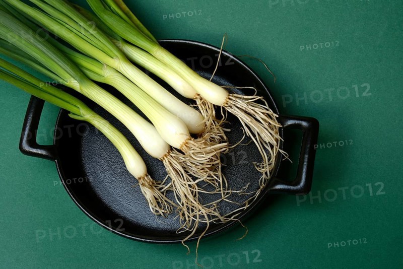 Spring onions on pan, onion
