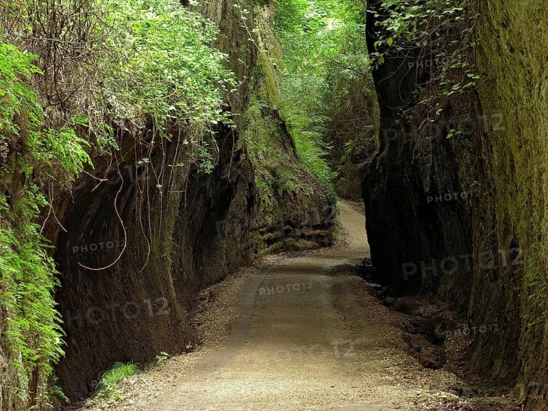 Etruscan path carved into tuff rock, ancient road of the devil, hollow way, Via Cava Il Cavone at the temple tomb Tomba Ildebranda, Hildebrand's tomb, Sovana, Sorano, Province of Grosseto, Tuscany, Italy
