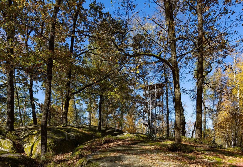 Observation tower in the Blockheide nature park Park near Gmünd, Waldviertel, Lower Austria, Austria