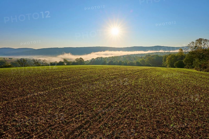 Crop field with forest and hills in the morning light, the sun shines in the blue sky, Großheubach, Miltenberg, Spessart, Bavaria, Germany