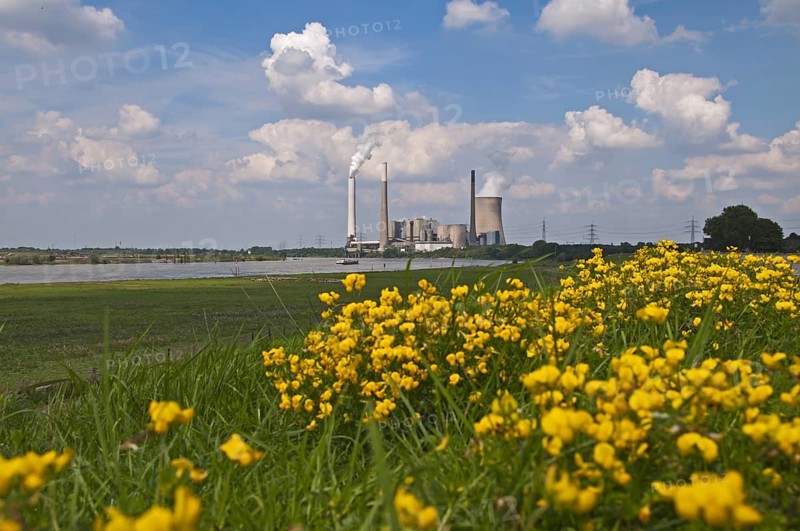 STEAG EVONIK Walsum coal-fired power station, Duisburg, Rhine, North Rhine-Westphalia, Ruhr area, Germany