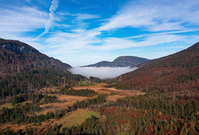 Early morning mist in the Egelsee nature reserve with a view of the Gaisberg, moorland, Puch near Hallein, Osterhorn group, Salzkammergut, Salzburg province, Austria