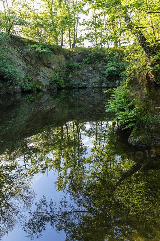Old quarry with reflection, Callenberg, Schirgiswalde-Kirschau, Upper Lusatia, Saxony, Germany
