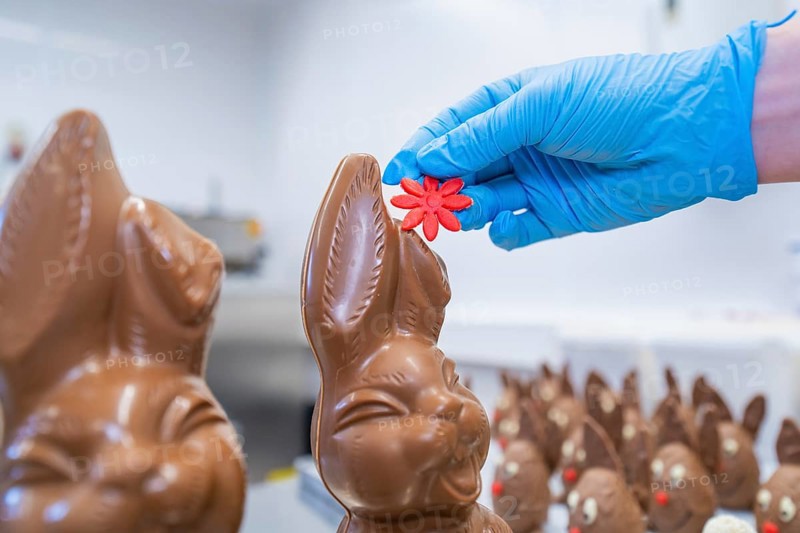 A hand with a blue glove attaches a red flower to a chocolate bunny, Easter baking and chocolate icing at Haselstaller Hof, Gechingen, Black Forest, Germany