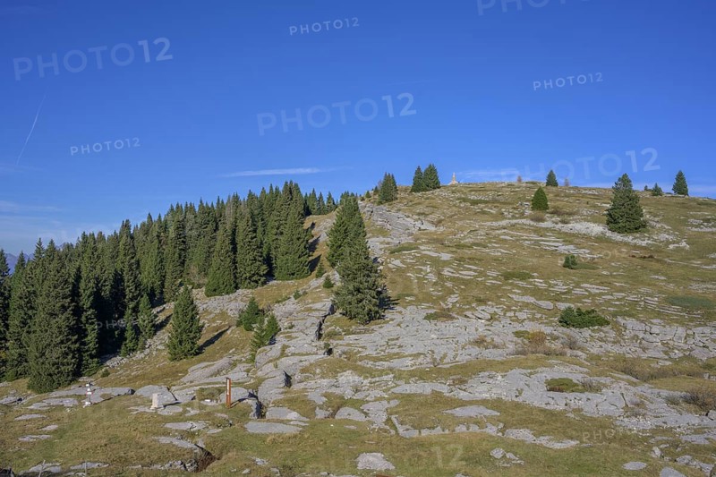 Trenches in karst rock from the First World War, circular hike Monte Fior, Foza, province of Vicenza, Italy