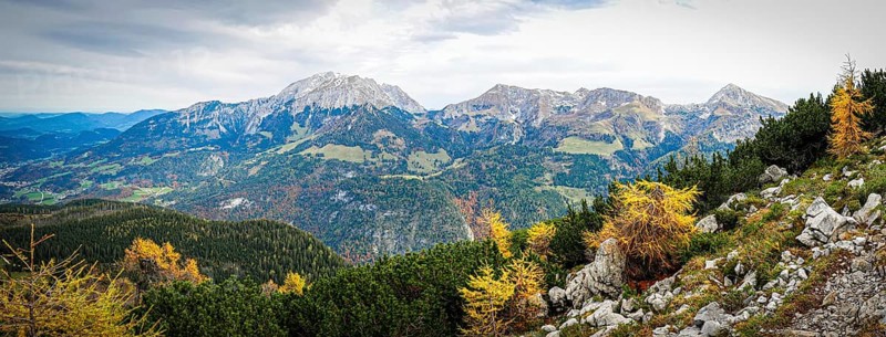 Yellow-coloured larches in the Berchtesgaden National Park in autumn, view to the Hohe Göll, Schneibstein and Kahlersberg, Bavaria, Germany