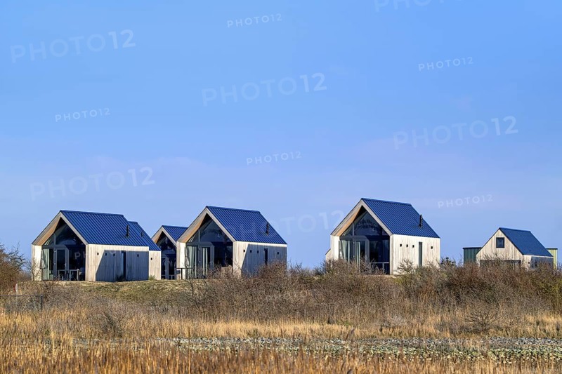 Tiny houses, beach houses in dunes at Molecaten Park Waterdunen, camping and holiday park along the Western Scheldt at Breskens, Zeeland, Netherlands
