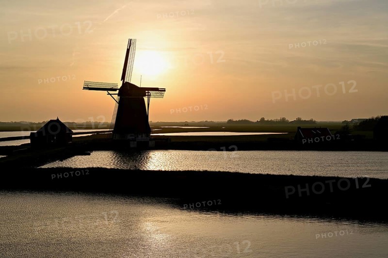 Historic windmill in the light of the setting sun, De Traanroeier, Het Noorden Molen, Texel, North Holland, Netherlands