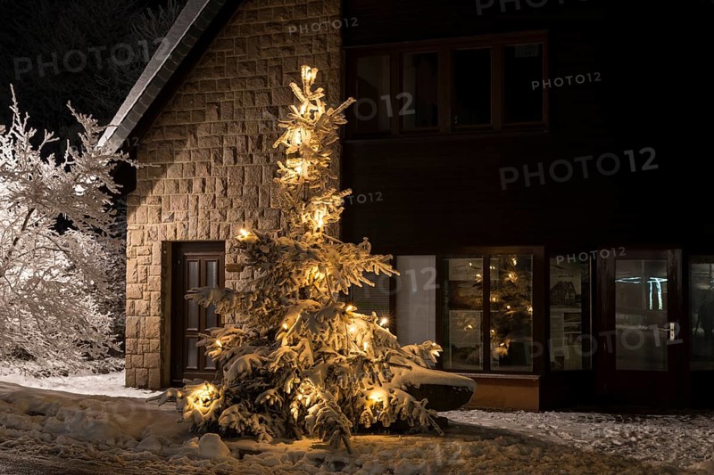 Illuminated Christmas tree in the snow, night shot Oberbärenburg, Erzgebirge, Altenberg, Saxony, Germany