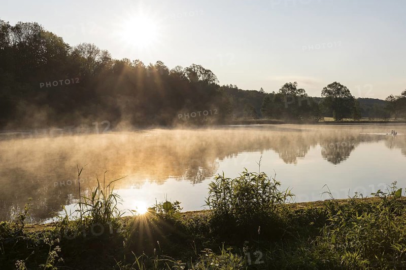 Morning atmosphere with light fog, Horkaer Teich, Bischofswerda, Saxony, Germany