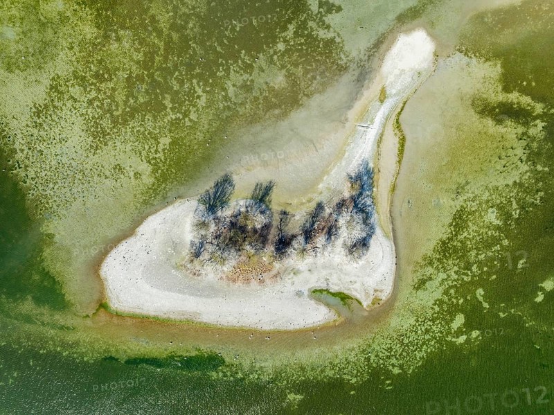 Aerial photograph, top down view of Liebesinsel at low tide, Mettnau peninsula, Radolfzell on Lake Constance, Constance district, Baden-Württemberg, Germany