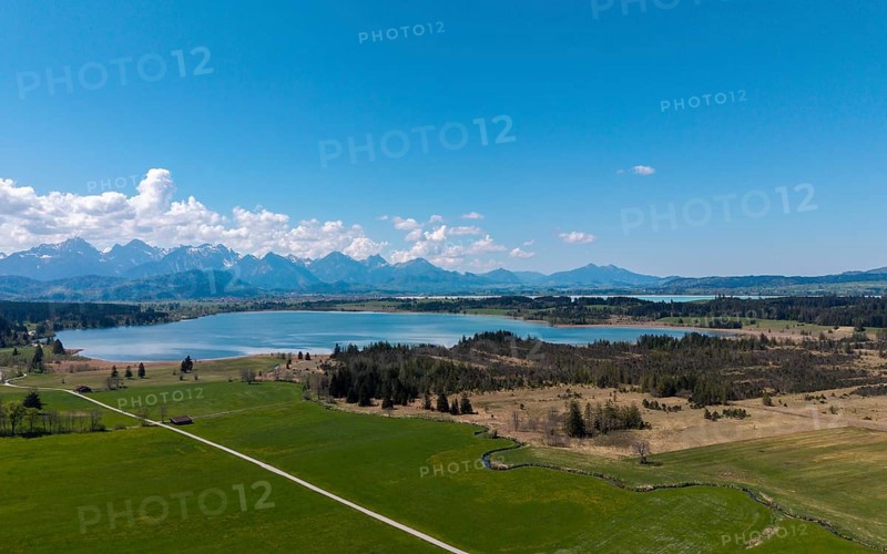 View of the Bannwaldsee in front of a mountain backdrop with green meadows and a clear blue sky, Alps, near Buching and Füssen, Ostallgäu, Allgäu, Bavaria, Germany
