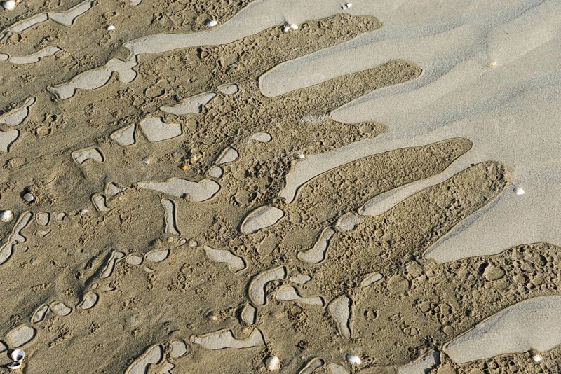 Close-up of wave patterns in the sand with scattered small shells, Plage Saint Efflamm, Plestin-les-Grèves, Breton Plistin, Arrondissement Lannion, Côtes-d'Armor, Brittany, France