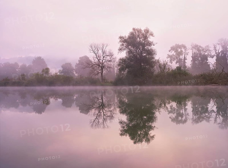 Morning atmosphere at the shallow lake with trees reflected in the water, Rottenschwil, Canton Aargau, Switzerland