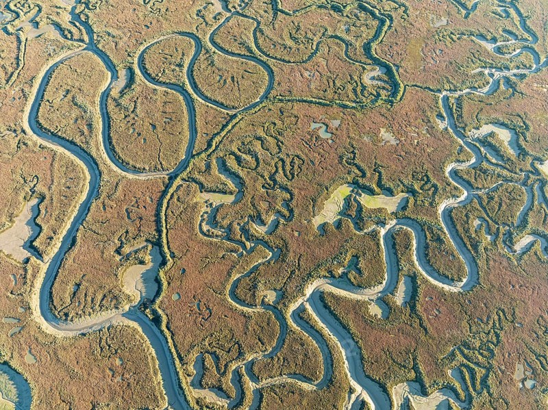 Network of channels and streams at low tide. In the marshland of Isla Cristina. Aerial view. Drone shot. Huelva province, Andalusia, Spain