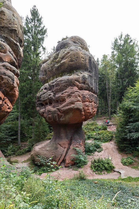 Natural monument Kelchsteine with mushroom rock Kelchstein near Oybin, Zittau Mountains, Saxony, Germany