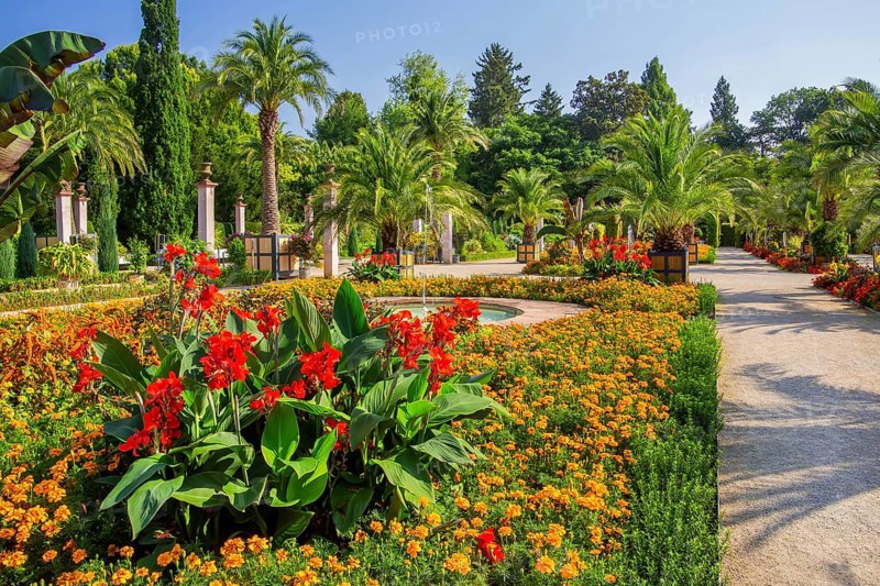 Palm garden in the historic spa gardens, the largest outdoor palm garden north of the Alps, Bad Pyrmont, Emmertal, Weserbergland, Oranierroute, Lower Saxony, Germany