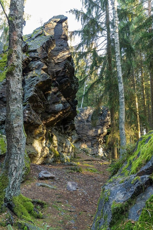 Schwarzer Stein rock formation with Versteinerter Mönch rock formation east of Grünbach in Vogtland, Saxony, Germany