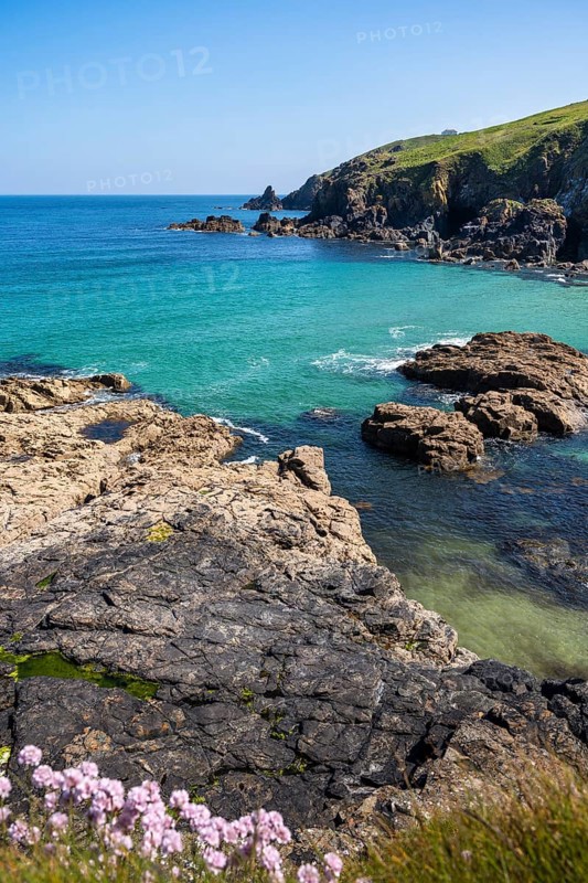 Coastal landscape in Cornwall between Gurnard's Head and Carnelloe Headland. Rose-an Hale Cove, Cornwall, England, Great Britain