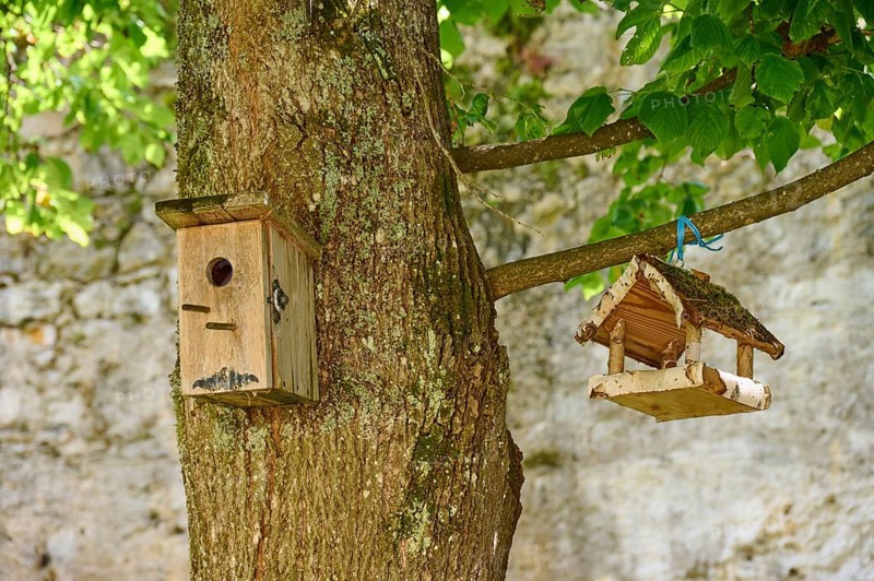 Nesting box, bird feeder, tree, Ossiach, Lake Ossiach, Carinthia, Austria