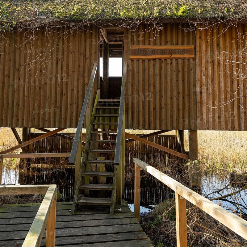 Observation stand on the shore of Lake Rederangsee, Müritz National Park, Mecklenburg Lake District, Mecklenburg, Mecklenburg-Western Pomerania, Germany