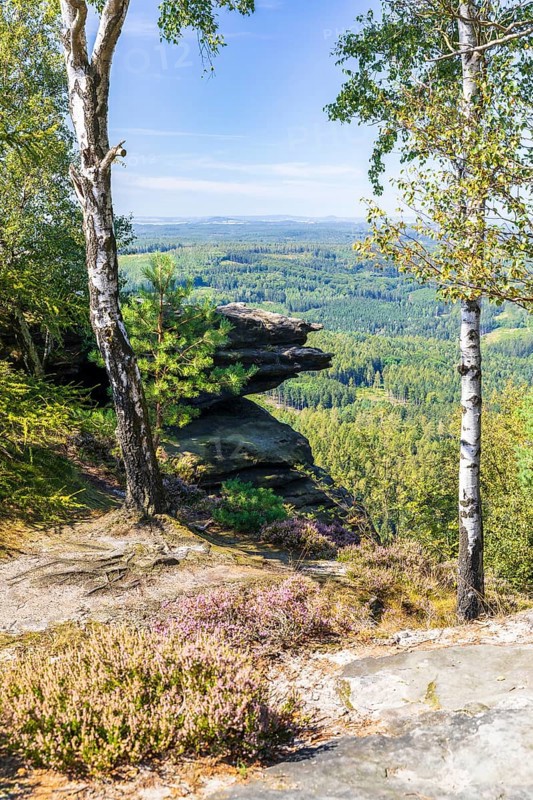 On the Großer Zschirnstein, Reinhardtsdorf-Schöna, Saxon Switzerland, Saxony, Germany
