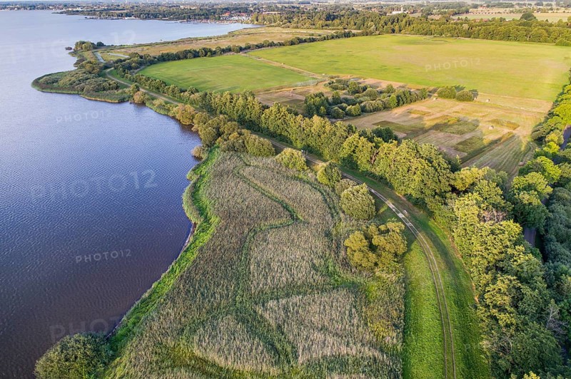 Aerial view of Lake Dümmer, nature reserve, reeds, shore, Ochsenmoor, Hüde, Lower Saxony, Germany