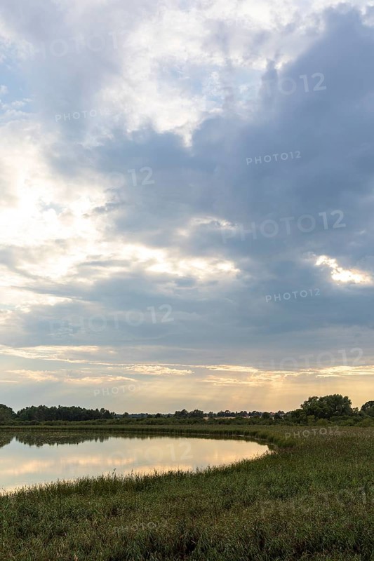 Lake Varchentin, evening mood on the shore, Mecklenburg Lake District, Mecklenburg-Western Pomerania, Germany