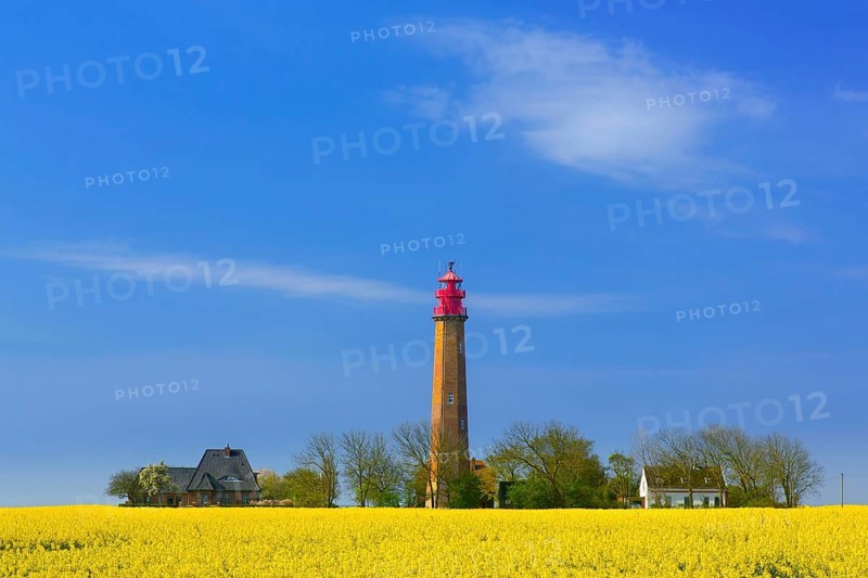 Flügge, Fluegge lighthouse in flowering rape field on Fehmarn island in the Baltic Sea in spring, Ostholstein, Schleswig-Holstein, Germany