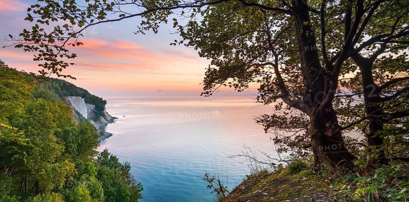 View from the high shore of the chalk cliffs on the Baltic Sea in front of sunrise, beech trees on the edge of the cliff, Jasmund National Park, Rügen Island, Mecklenburg-Western Pomerania, Germany