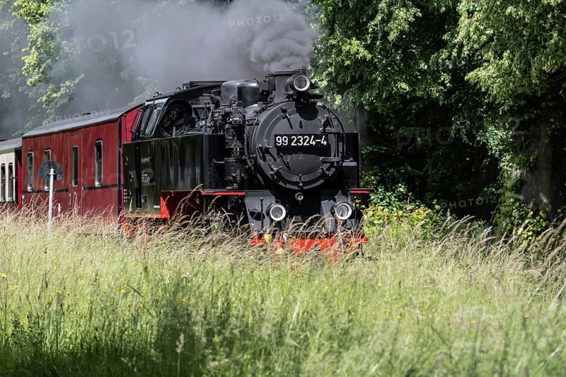 Bäderbahn Molli, Kühlungsborn, Mecklenburg-Vorpommern, Germany