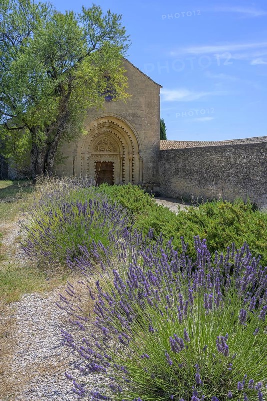 Lavender field in front of Notre Dame de Ganagobie Abbey with main portal on the west façade Ganagobie, Alpes-de-Haute-Provence, France