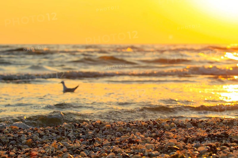 Morning atmosphere on the beach of the Baltic Sea, September, Usedom, Mecklenburg-Western Pomerania, Germany