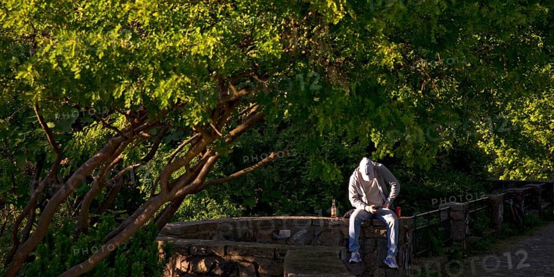 Young man sitting in the sun and engrossed in his mobile phone in the greenery under trees on the viewing platform Auf dem Stintfang, St. Pauli, Hamburg, Germany