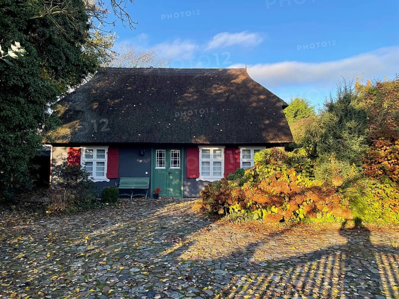 Künstlerdorf and Baltic resort Ahrenshoop, architecture, tradition, houses with thatched roofs, reed roofs, idyllic, Darss-Zingster Boddenkette, Baltic Sea, peninsula, nature, autumn, nature reserve, Fischland-Darss-Zingst, Mecklenburg-Western Pomerania, Germany