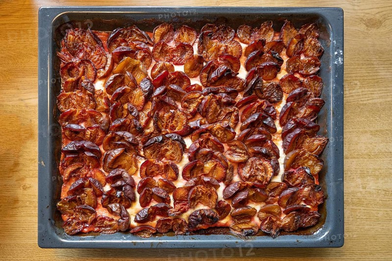 Fresh plum cake on a baking tray, Bavaria, Germany