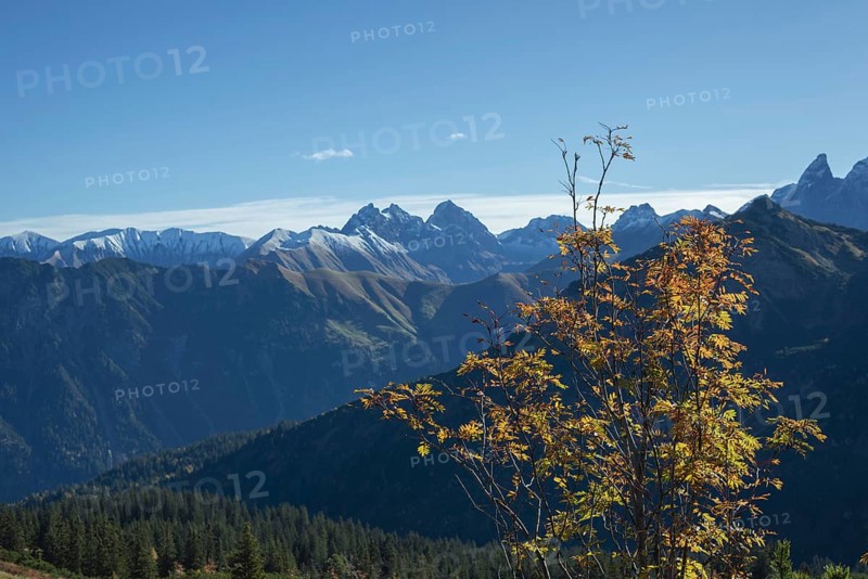 Autumn in the Allgäu, mountain panorama from Fellhorn 2037m, to Öfnerspitze, 2576m, Großer Krottenkopf, 2656m and Kratzer, 2427m, Hornbachkette, Allgäu Alps, Bavaria, Germany