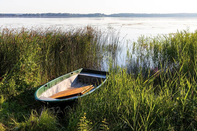 Rowing boat lying in the reeds at the old lido of the Quitzdorf dam, Upper Lusatia, Saxony, Germany
