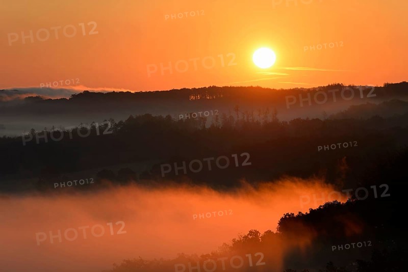 Sunrise, fog rising over the Arnsberg Forest nature park Park, North Rhine-Westphalia, Germany
