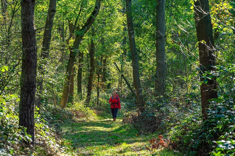 A woman walks under trees in the deeply cut valley of the Neuendorfer fairground, Fläming, Brandenburg, Germany