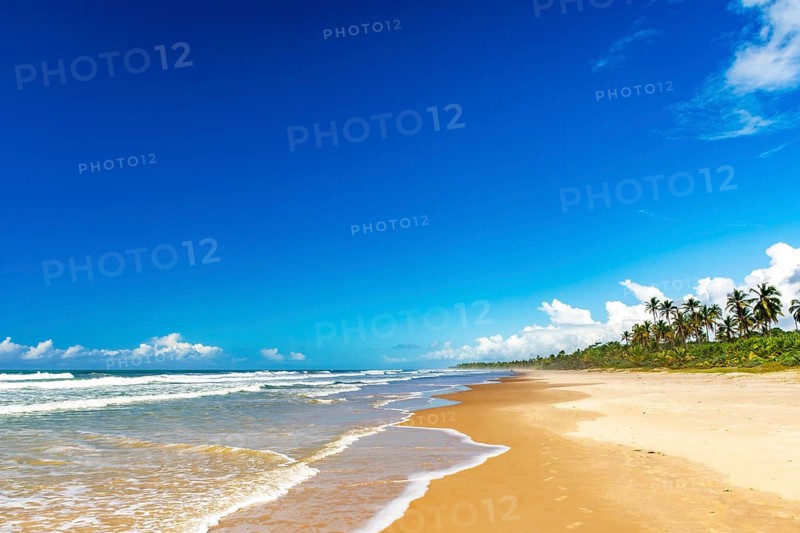 Deserted beach surrounded by coconut trees in Serra Grande on the southern coast of Bahia, Serra Grande / Uruçuca, Bahia, Brazil
